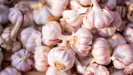 ������� ������ ������ �������: � ��� ���� ���� ����� ����� �� ���������