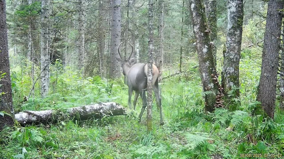 ������, ��� ������������ ���?