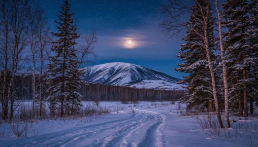 ������ ������� �� ������� ��������