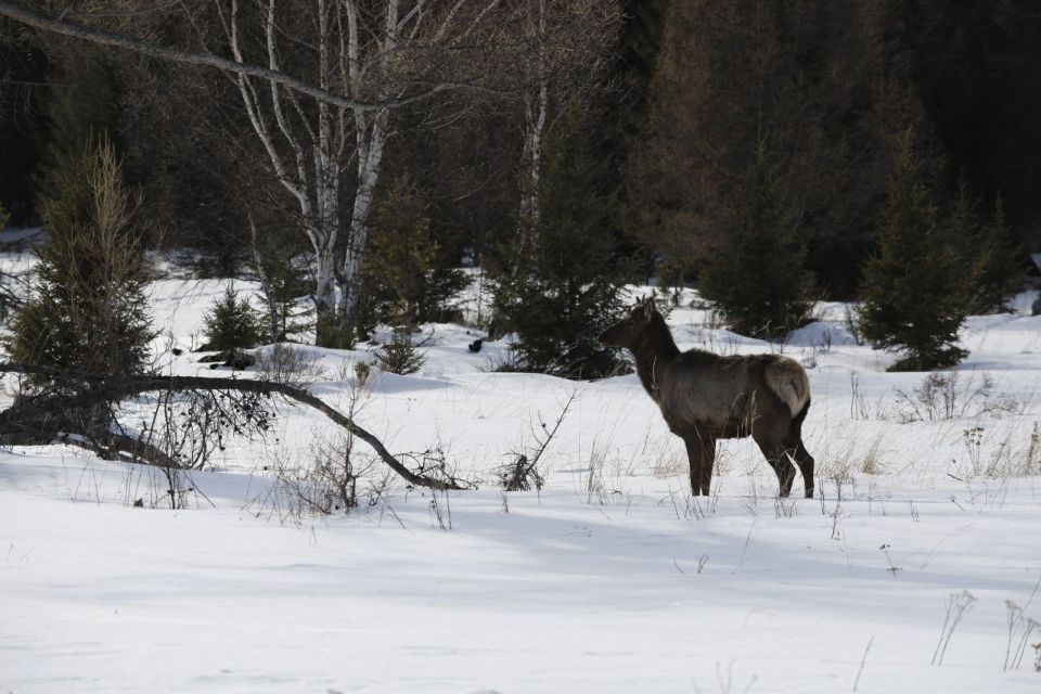 Уже сегодня зорко вглядываемся в завтра, друзья