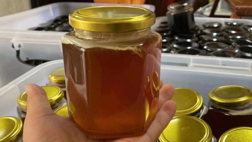 ���� ���� ������� ��������� ��������: ����� ���� ����� � ��� �������� ��������