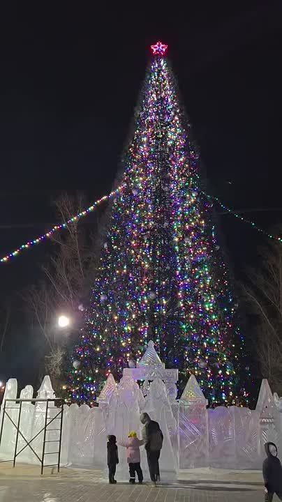Алексей Лемин: В Черногорском парке, по традиции, главную городскую ёлку включили в День энергетиков