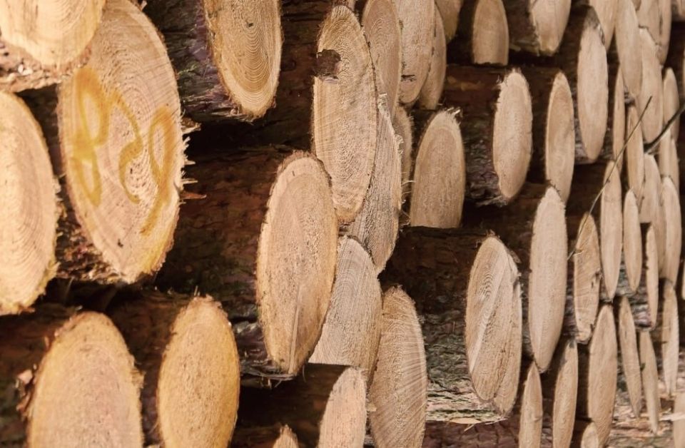 ТАМОЖЕННИКИ ВЫЯВИЛИ КОНТРАБАНДУ ДРЕВЕСИНЫ ФИРМОЙ ИЗ ХАКАСИИ