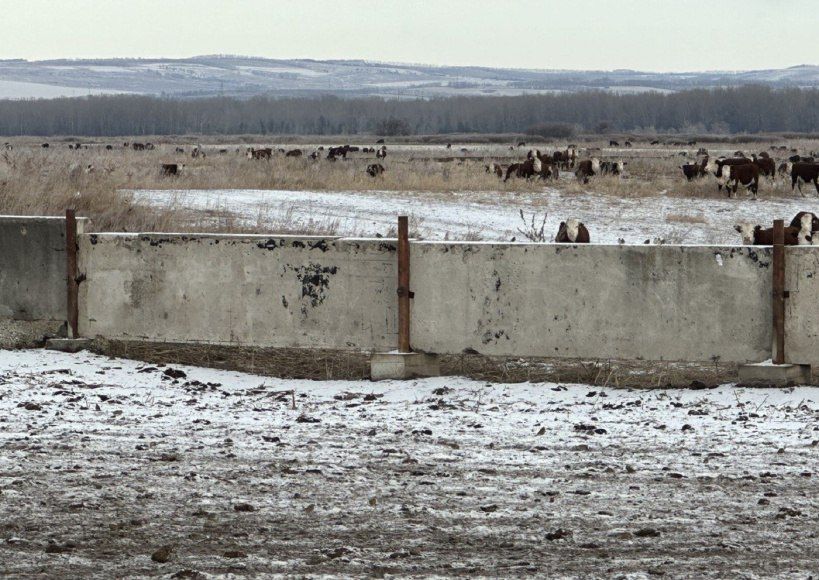 �� ����� ������ ������� �������� ���������