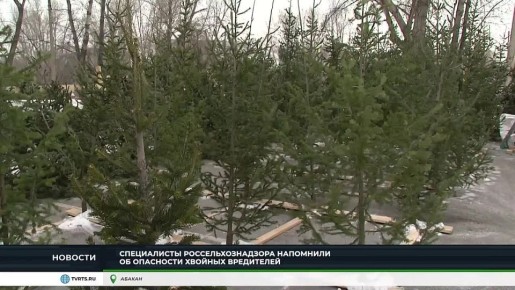 ���������������� �������: �� ��� �������� �������� ��� ������� ����