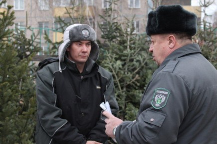 ����������� ����������������� �������� ������� ������ ������� � ���������