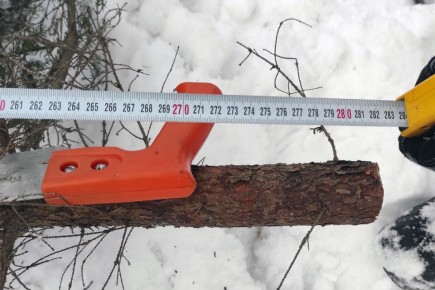 ����� �� 5 ����� ��� ����������� �������� � ������� ������ ��� � �������� ��������� ���