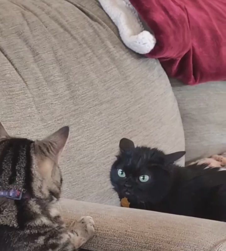 Доброе утро, Хакасия!