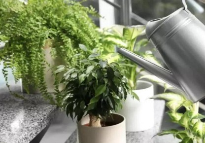 ������� ������ � ���������� ������: ��� ������ � �� �������� ������