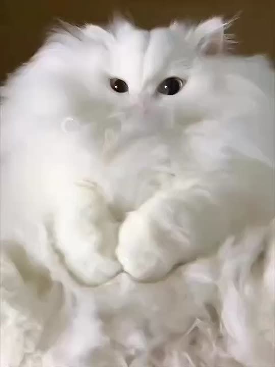 Доброе утро, Хакасия!