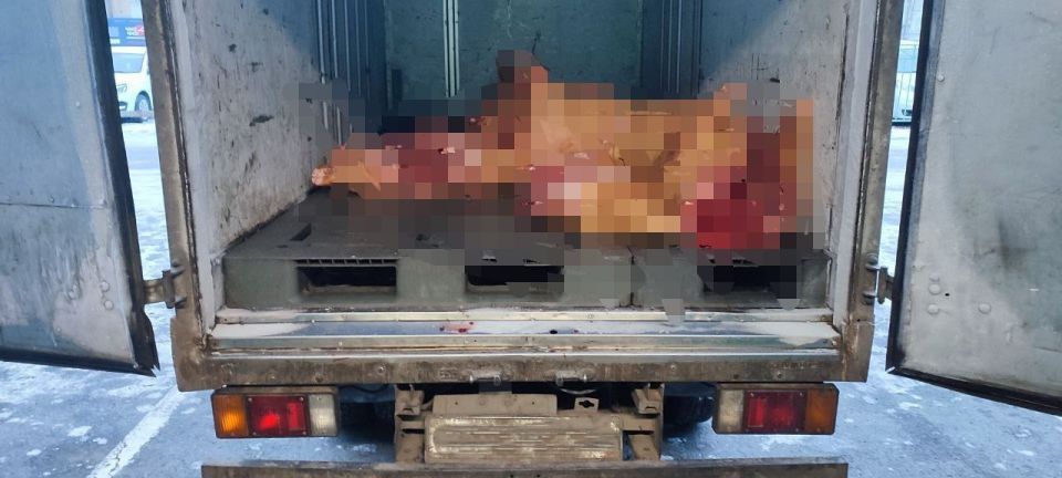 � ������� ������� ������������ ��� ���������� ��������, �������� �������� ��������� ���� � ���������� ������������� ����������������