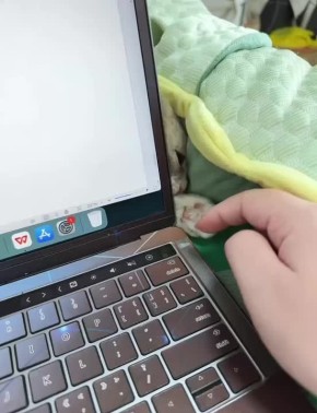 ������ ����, �������!. ������� ��� ������ ��������, �� �������� ����� ������-�� ������