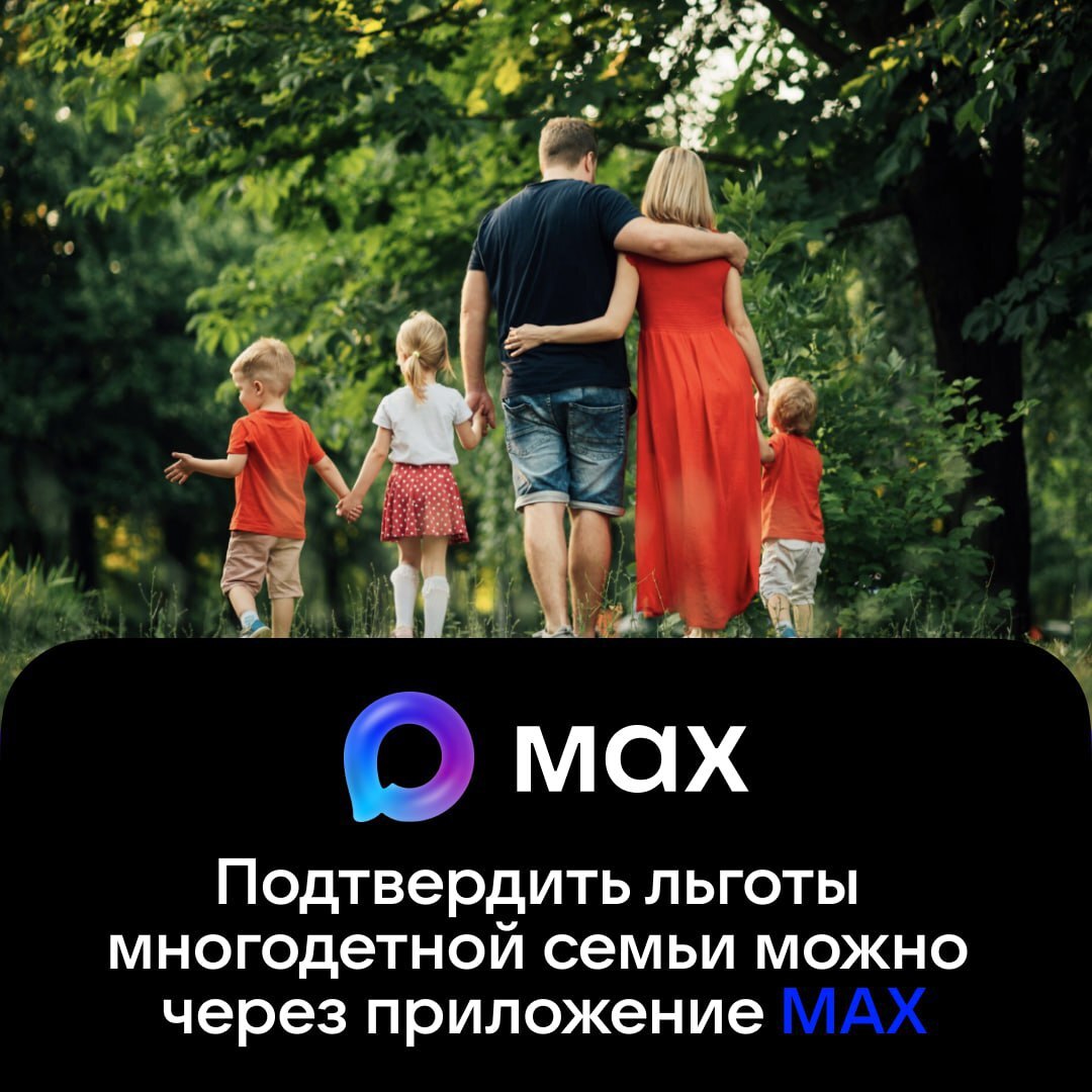 Как подтвердить льготы многодетной семьи без бумажного удостоверения