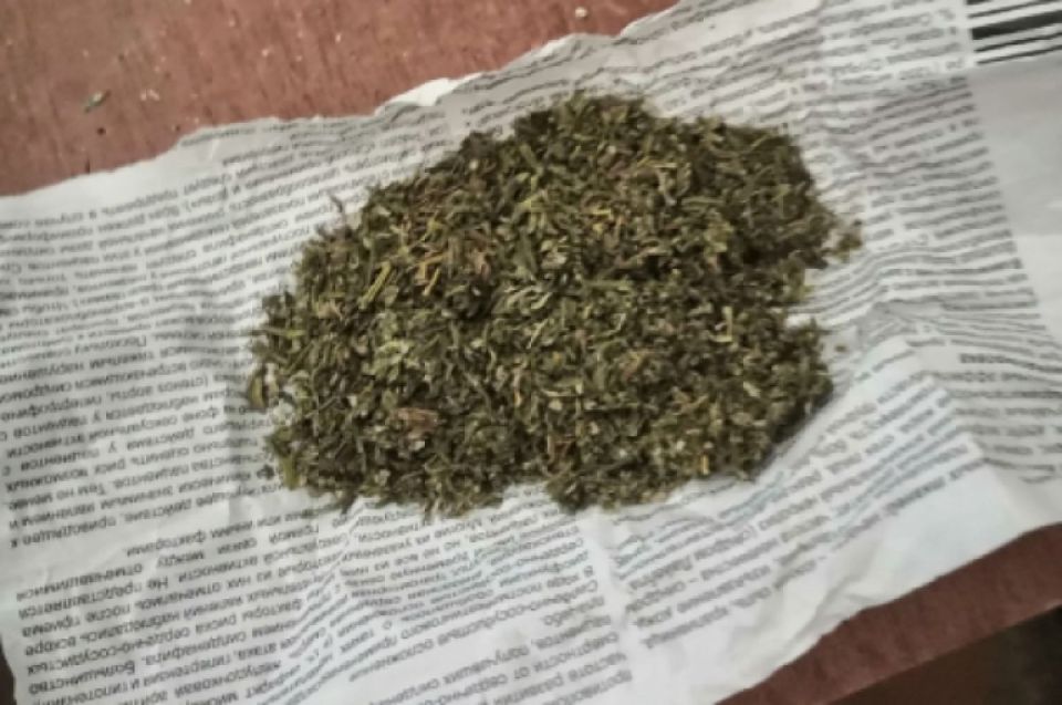 У жителя Саяногорска полицейскими изъята марихуана