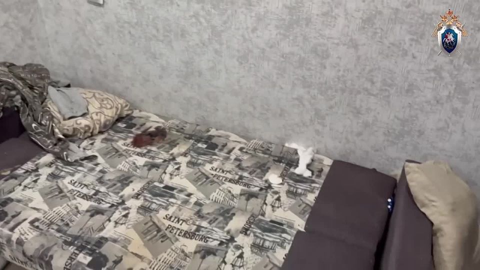 В Красноярске возбуждено уголовное дело по факту гибели женщины и ее сына