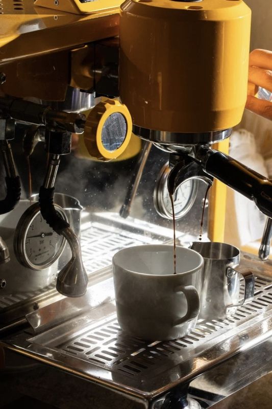 ������� ������������ ����: ����� � ��� ����, ����� �� ��������� ��������