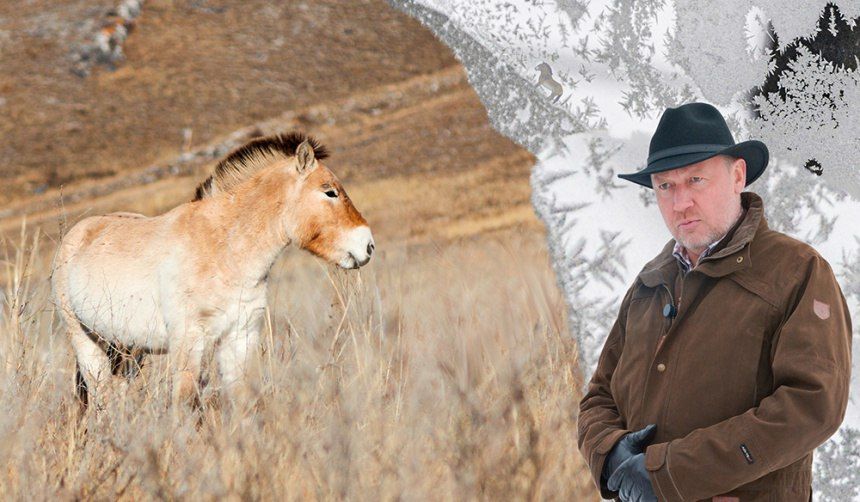 ���������� ��������� �����