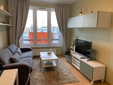 ��������������� ��������� �����������: ��� �������� ����������� �� �����