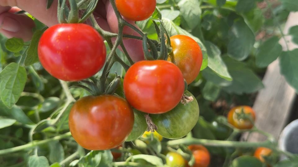 ������: ����� ��� ��������� ��������� ����� ������� ������ ��� �������� ������