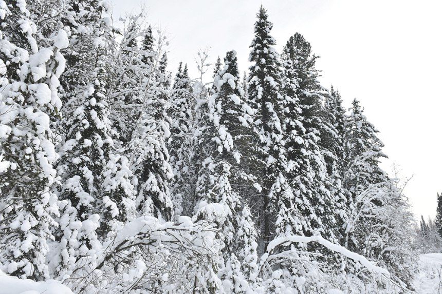 ����� ����. ������� ������