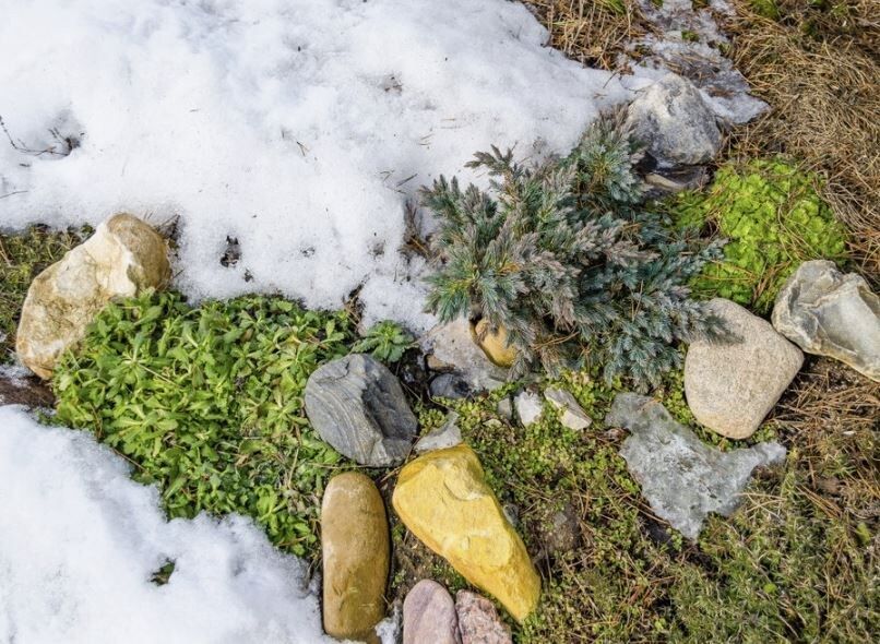 ��� ����������� ���������� ����� � ����: ������� ���� ��� ���������� �������� � ������