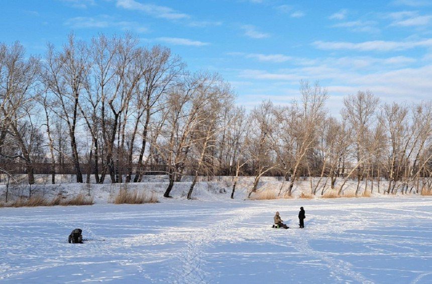 ˸� �������� �� ������� �������