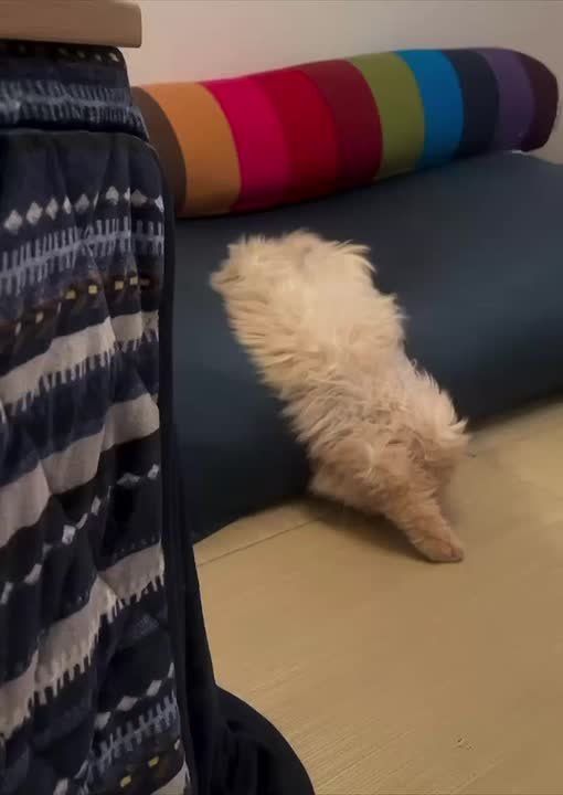 ������ ����, �������!. �� ������ � ���������� �������� ��� ����