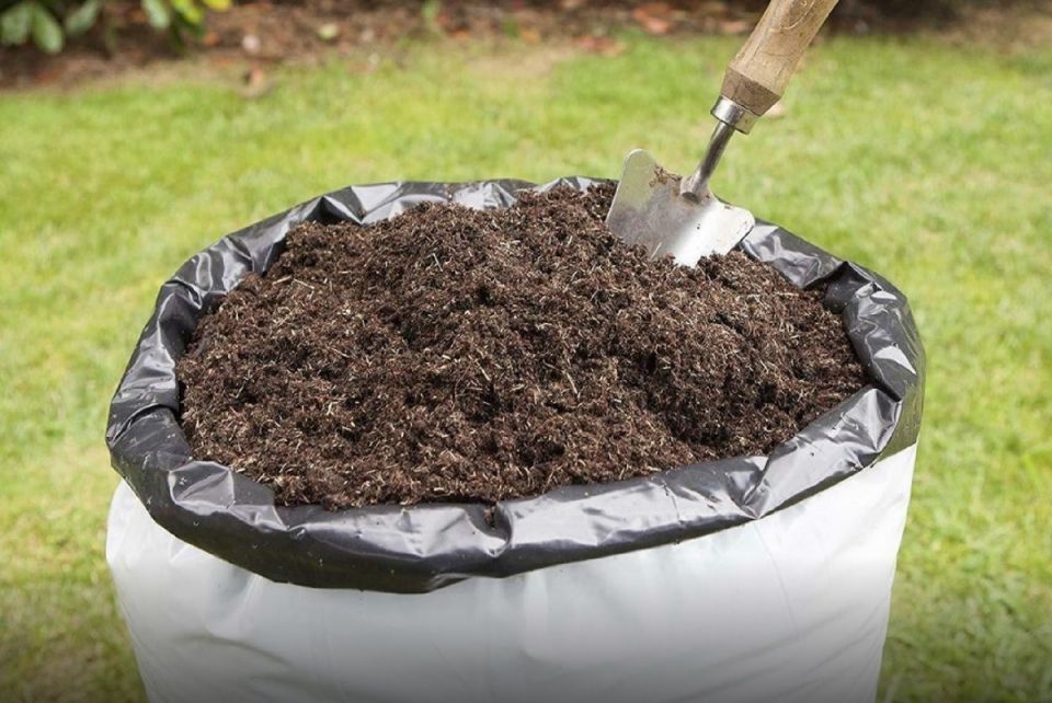 ��� ������� ��������� ����� ��� �������: ������� ��������� ������