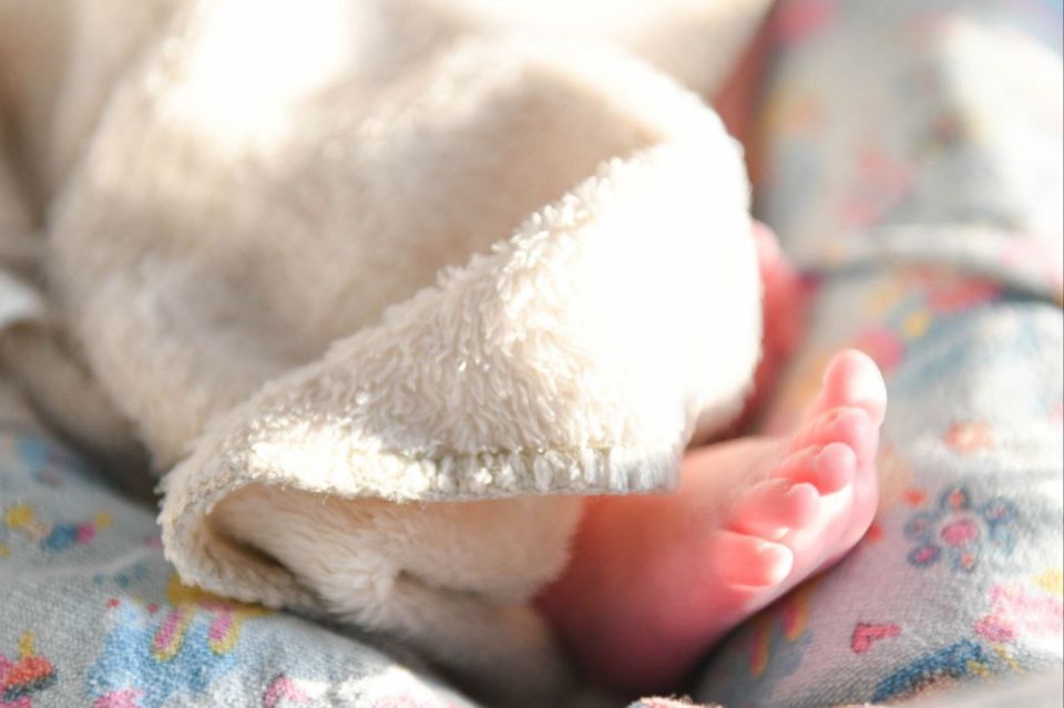 �������� ���������: � ������ ���� 2026 ���� � ������� �������� ��� ������