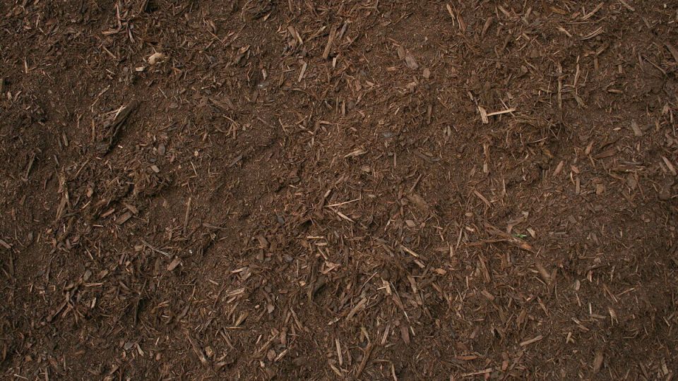 �������� �����: ������� ��������� ������� ������