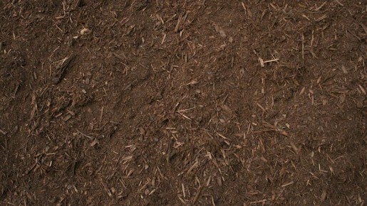 Торфяная земля: секреты успешного дачного урожая