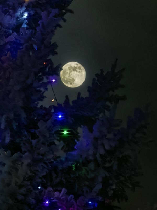 ��� ��� ������� �� ����� ���������� ������