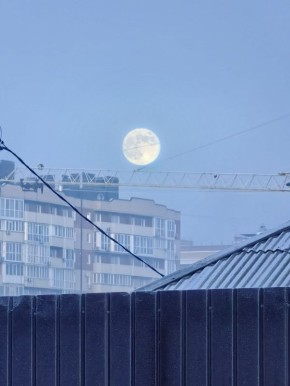 Друзья, а вот и "Волчья Луна"