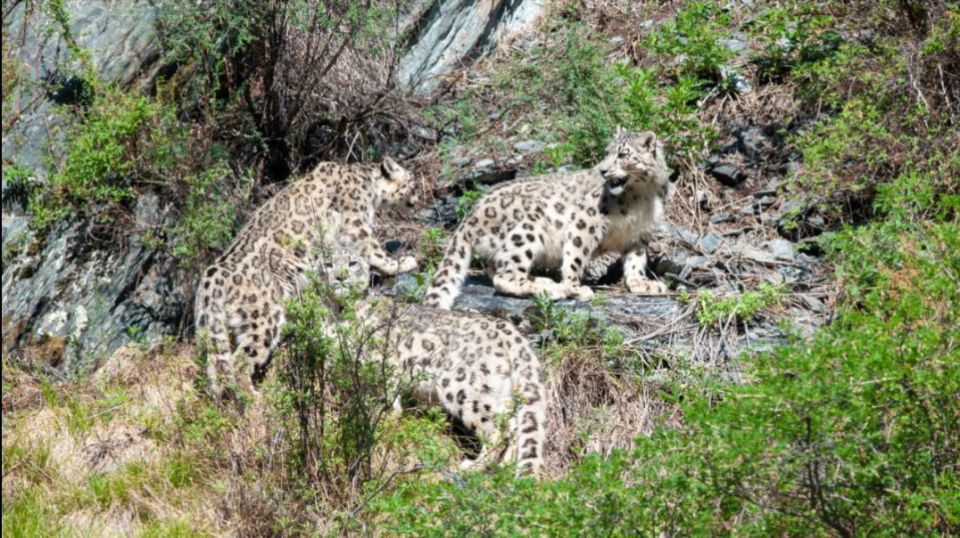 ������� �����, ������� � �����-��������� �����������, �������� ����� � ������ ����� �� �������