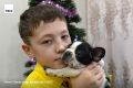 #архив_ТАСС_Сибирь. Школьник с щенком, которого он получил в подарок от президента РФ Владимира Путина на Новый год