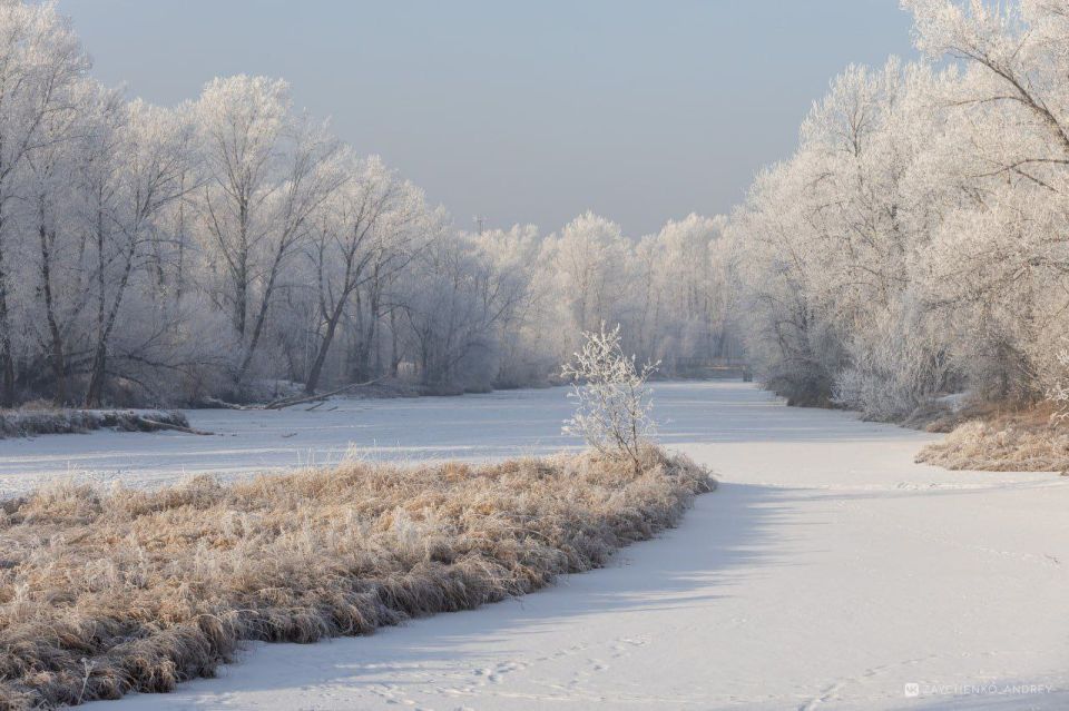 ������ �������� ���������� ������ �� ������� � �������� ��� ������ ��������