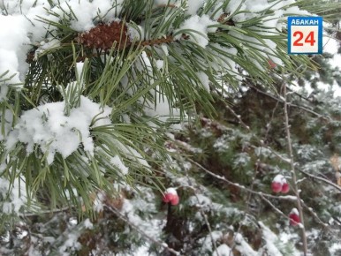 �������, 5 ������, �� ���������� ���������� ���������� � ��������� ����