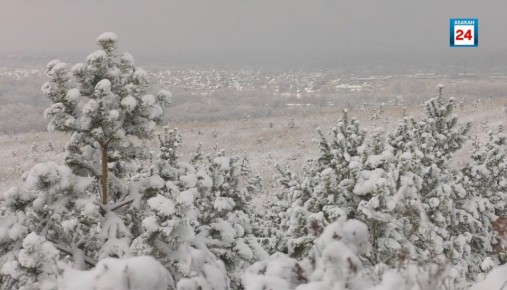 ������� ����� ������ � �������