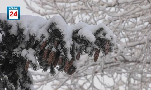 �������, 8 ������, �� ���������� ������� ��������� ����