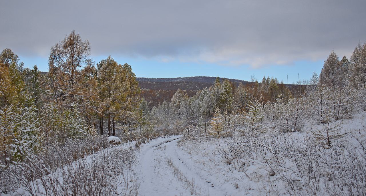 ДЕНЬ ЗАПОВЕДНИКОВ: ХАКАСИЯ ЧЕСТВУЕТ ЗАЩИТНИКОВ ПРИРОДЫ ДЕНЬ ЗАПОВЕДНИКОВ: ХАКАСИЯ ЧЕСТВУЕТ ЗАЩИТНИКОВ ПРИРОДЫ