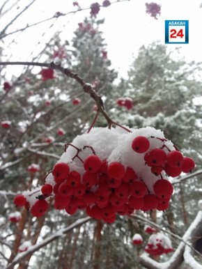 Сегодня, 11 января, по Хакасии небольшой снег и сильный северо-западный ветер с порывами до 20м/с