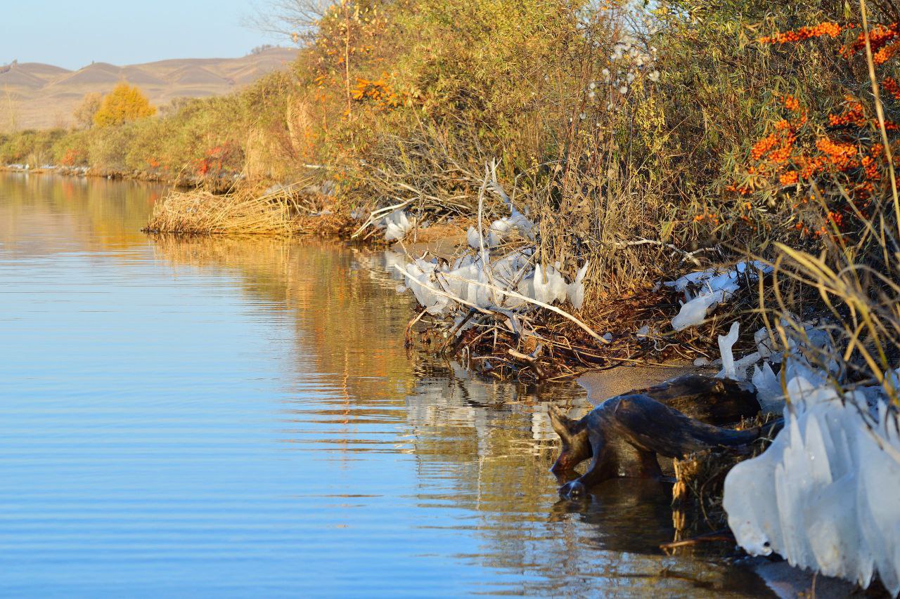 ДЕНЬ ЗАПОВЕДНИКОВ: ХАКАСИЯ ЧЕСТВУЕТ ЗАЩИТНИКОВ ПРИРОДЫ ДЕНЬ ЗАПОВЕДНИКОВ: ХАКАСИЯ ЧЕСТВУЕТ ЗАЩИТНИКОВ ПРИРОДЫ