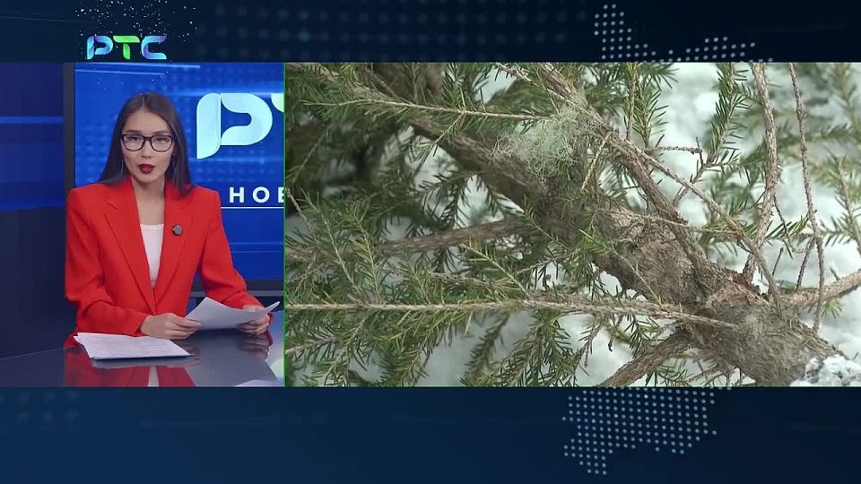 � ������� ��������� ������ ��Ȩ�� ���������� ���� ��� �����������