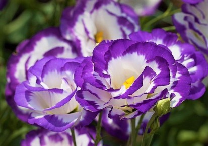 ���-5 ��������� ������: �� ���� ����� ���������� � ����� ����