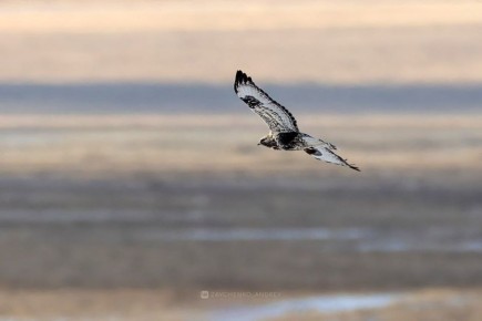 ������, ����� ����� � ������� �����