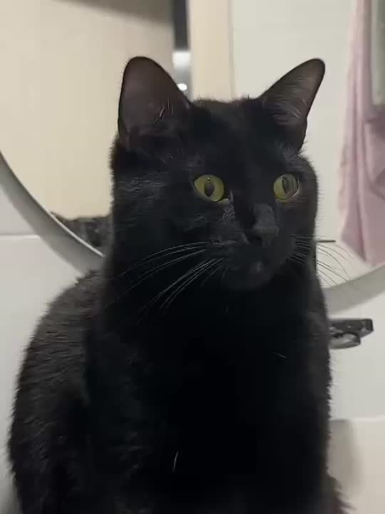 ������ ����, �������! �������� ������ ����� 2026 ���� �������� � ����� �� �����!