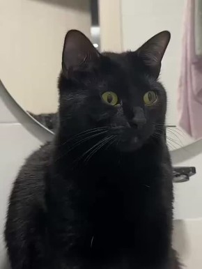 ������ ����, �������! �������� ������ ����� 2026 ���� �������� � ����� �� �����!