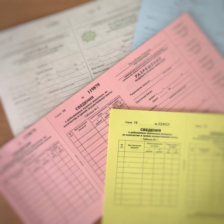 Охотникам Хакасии необходимо своевременно вернуть разрешения