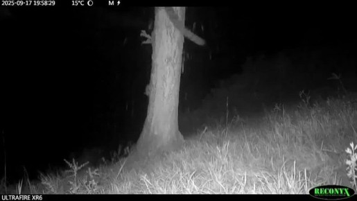 ������ ������� �������� ����� ������� ����������� � �����-��������� �����������