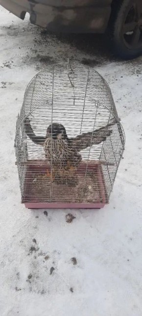 � ������ ������� ���������� ������������� � ���������� ���������� � ������� �����, ���������� � ������� ����� ���������� ���������